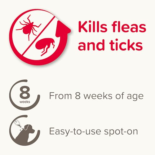 Detalle 2 de Beaphar FIPROtec Spot-On for Medium Dogs (10–20 kg) – 6 Pipettes