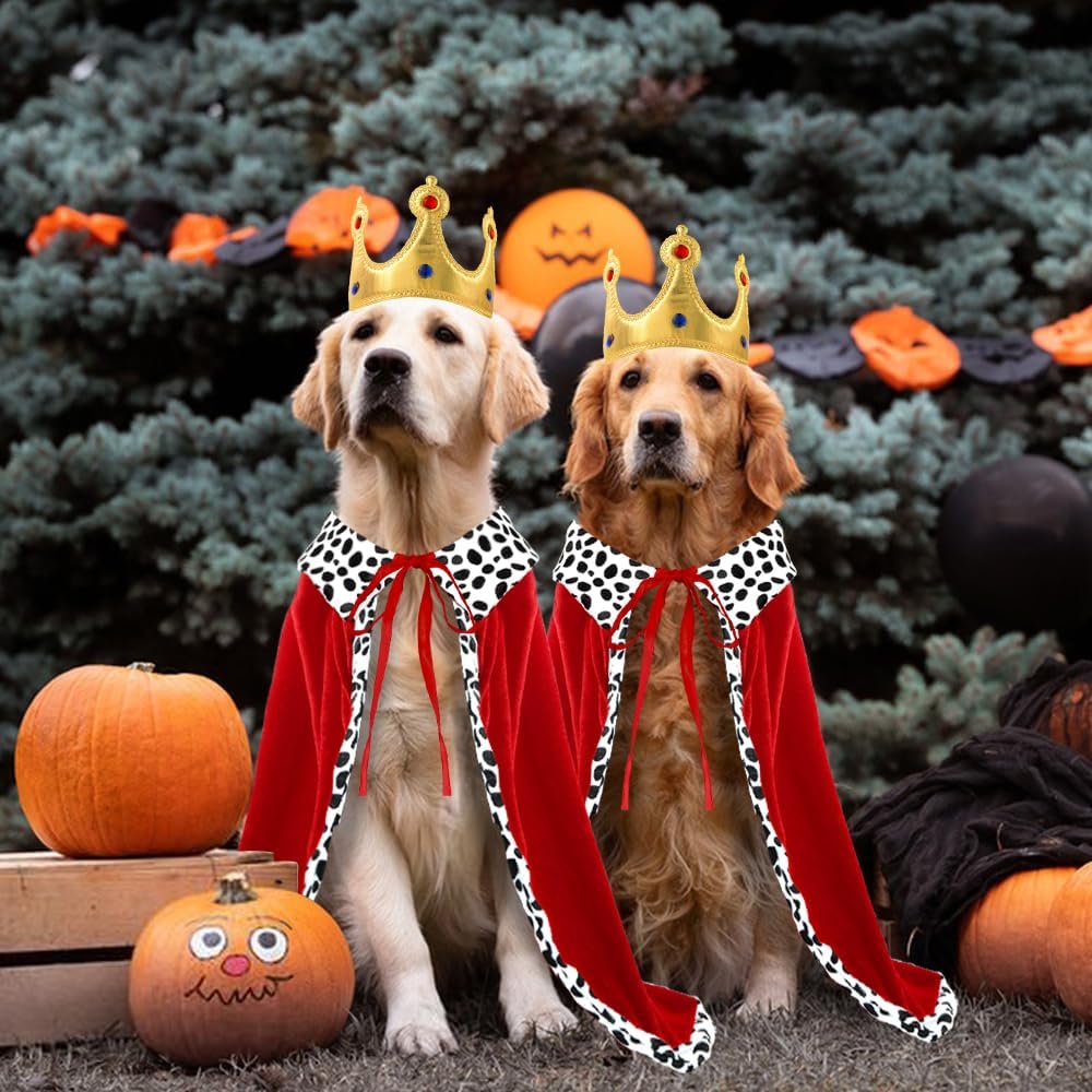 Detalle de Vellibring VB-US-HA326M1P1 Dog King Costume with Adjustable Cape and Crown