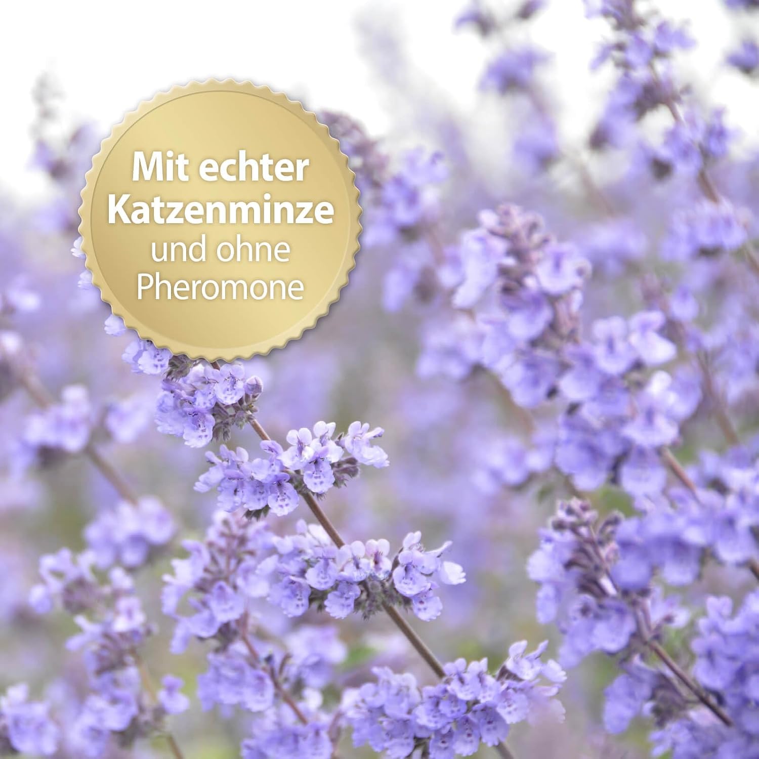 Detalle de Felisept Family Comfort Nachfüllpack 45 ml – Beruhigung mit Katzenminze für Mehrkatzenhaushalte