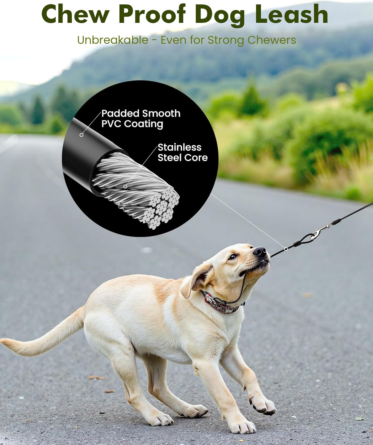 Detalle de pecute Hundeleine 8m reflektierend für große Hunde