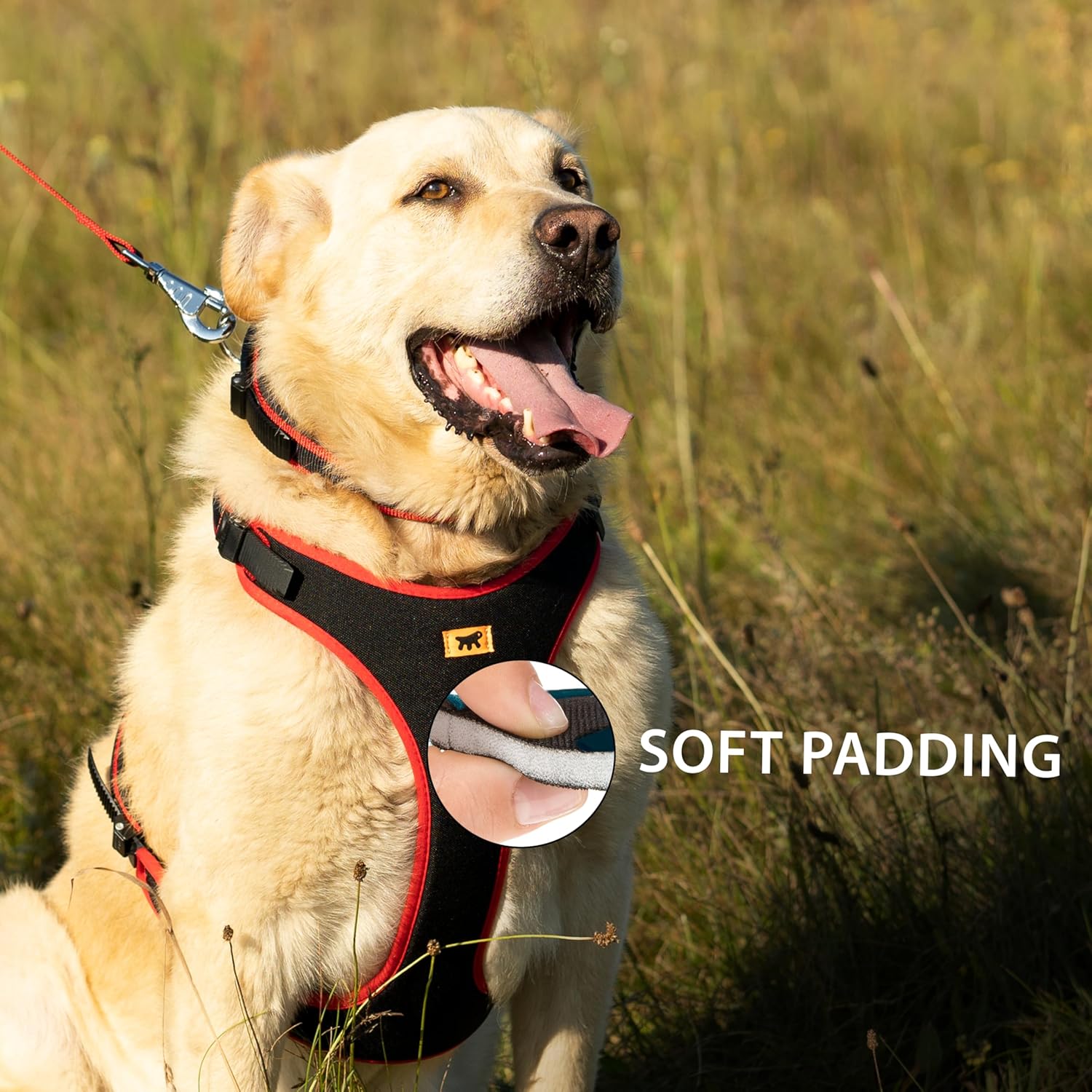 Thumbnail 4 de Ferplast ERGOCOMFORT Medium Dog Harness – Adjustable, Padded and Quick Release (Red)