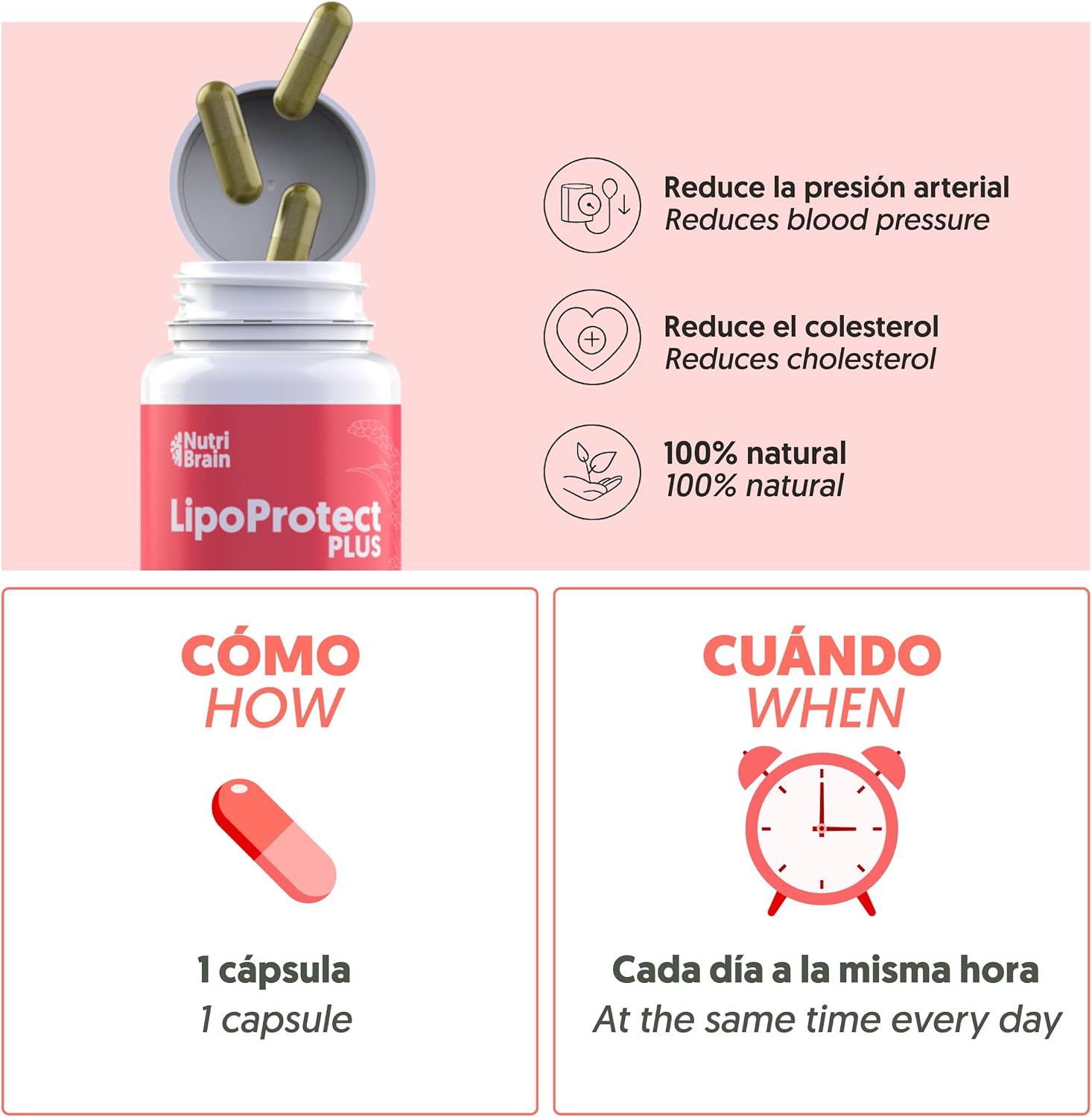 Detalle 1 de LIPO-Protect PLUS Levadura Arroz Rojo XXL 🌾 | 60 Caps
