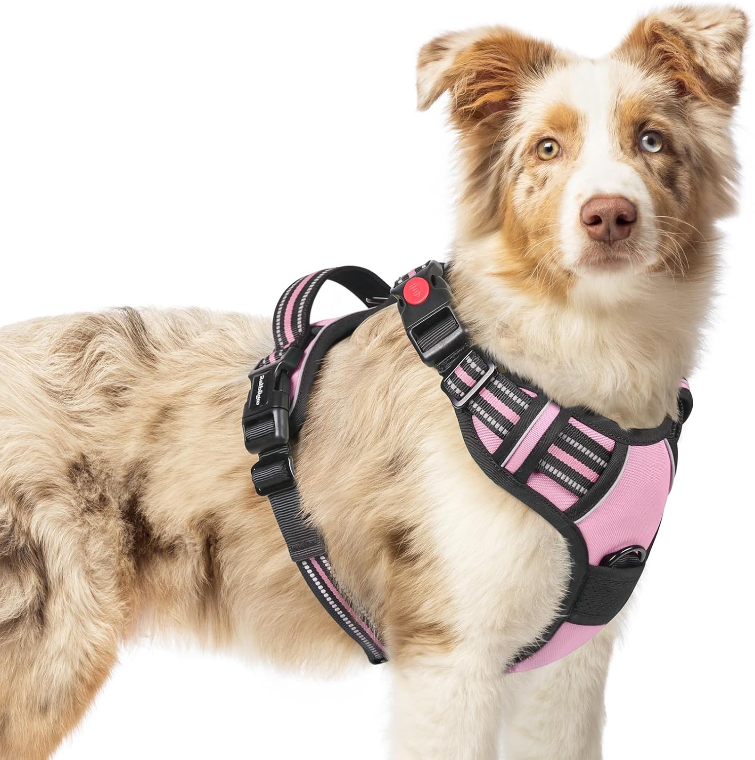rabbitgoo Dog Harness Medium - No-Pull Adjustable Vest with 3 Buckles, Reflective Mesh, Pink, M