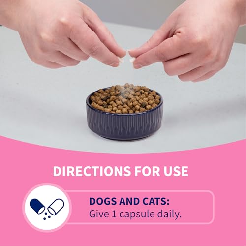 Thumbnail 4 de Nutramax Proviable Probiotics + Prebiotics for Dogs & Cats, 80 Capsules
