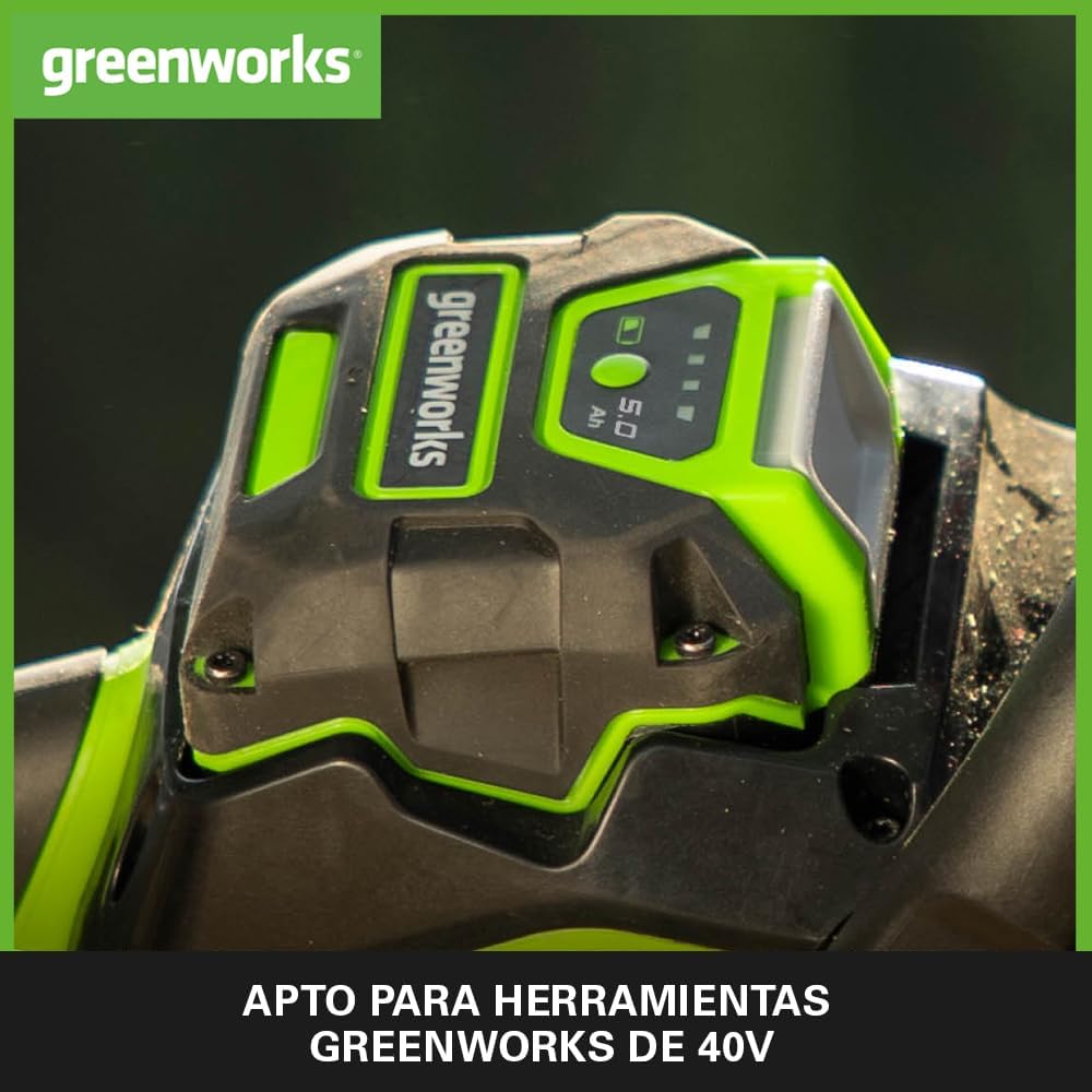 Thumbnail 2 de Greenworks Batería 40V 5Ah G40B5