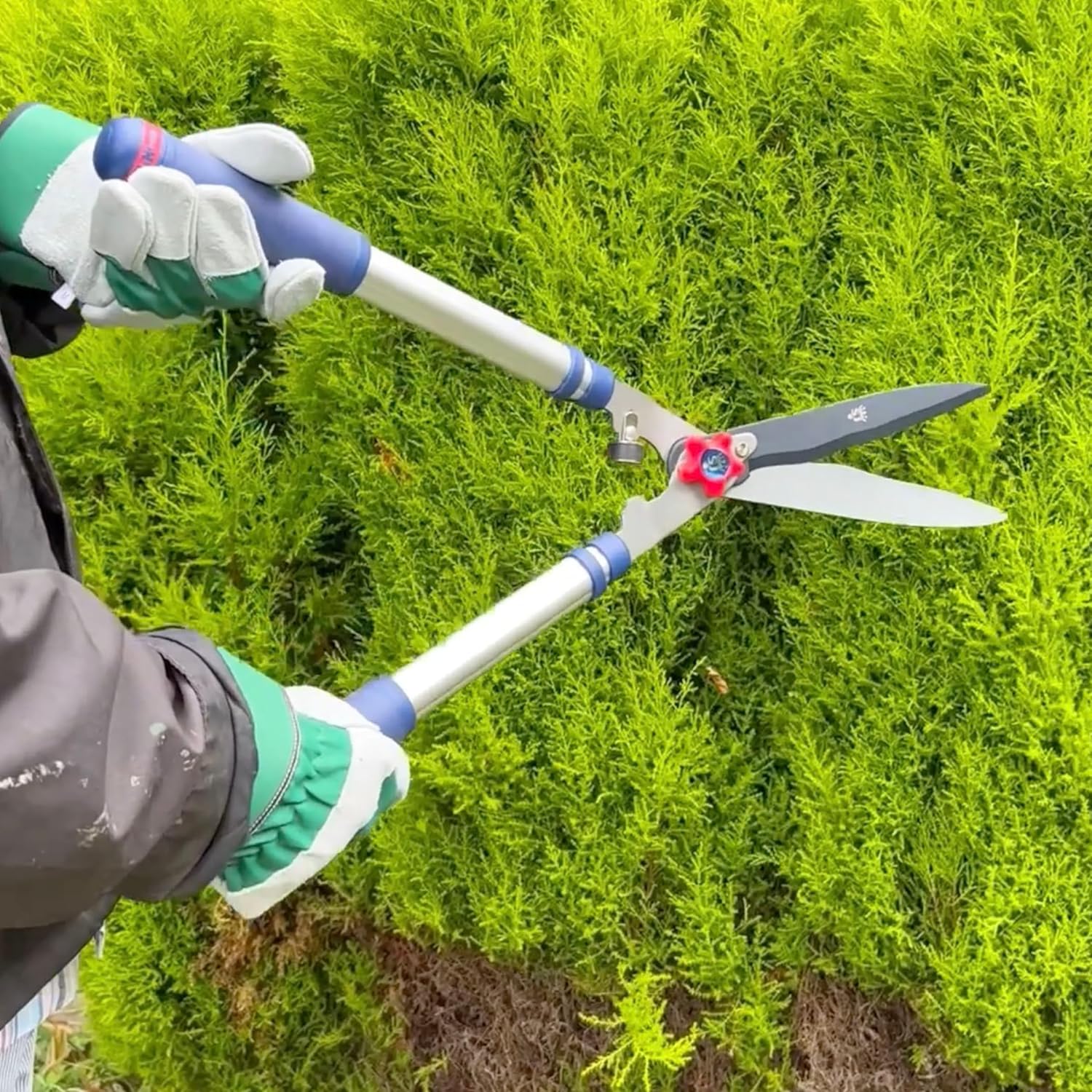Thumbnail 3 de Spear & Jackson 8120RS Razorsharp Telescopic Hedge Shears