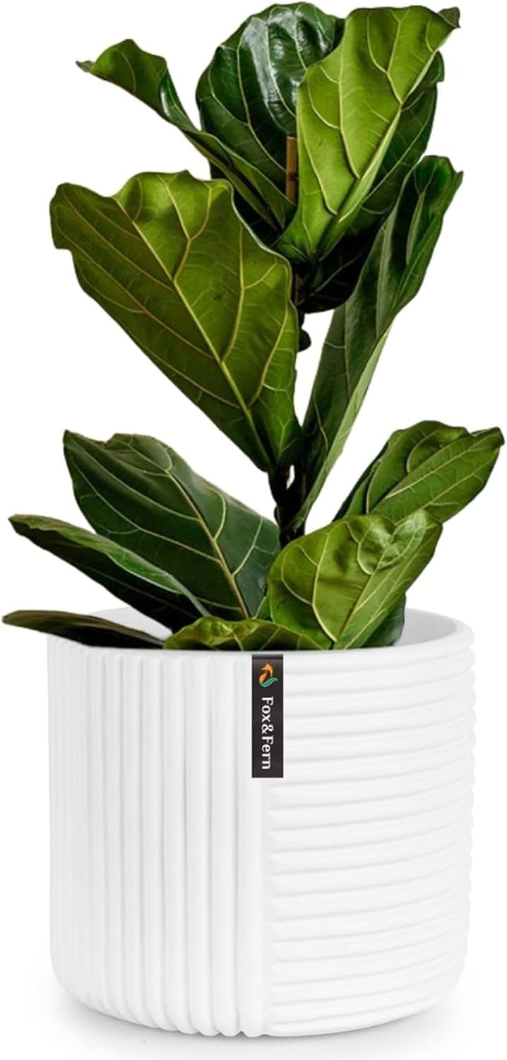 Detalle de Fox & Fern 10038549 Large Polystone Plant Pot, UV & Frost Resistant