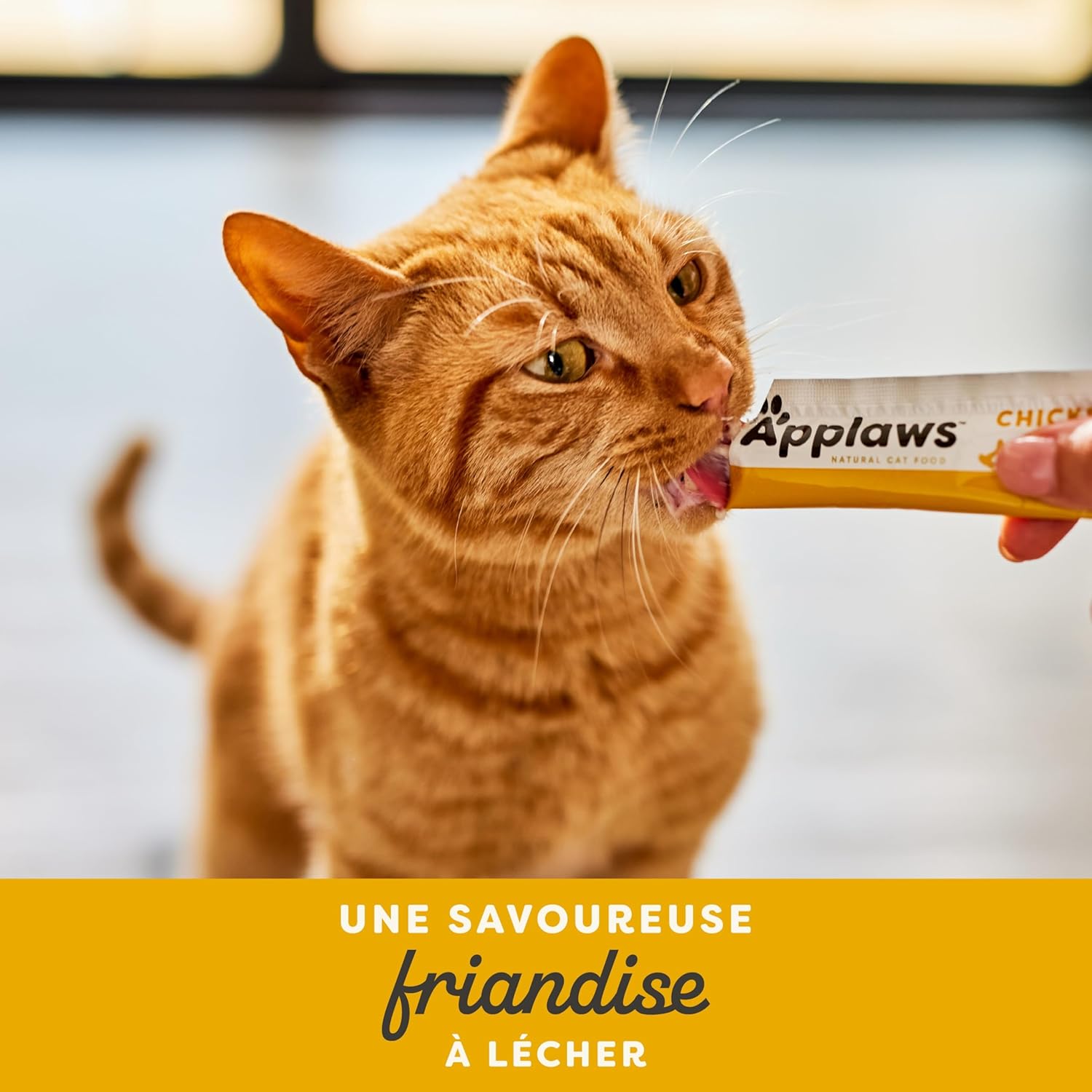 Thumbnail 6 de Purée de Poulet Applaws 100% Naturelle pour Chats — Sans Céréales, Douce et Crémeuse (40 sachets, 15 g chacun)