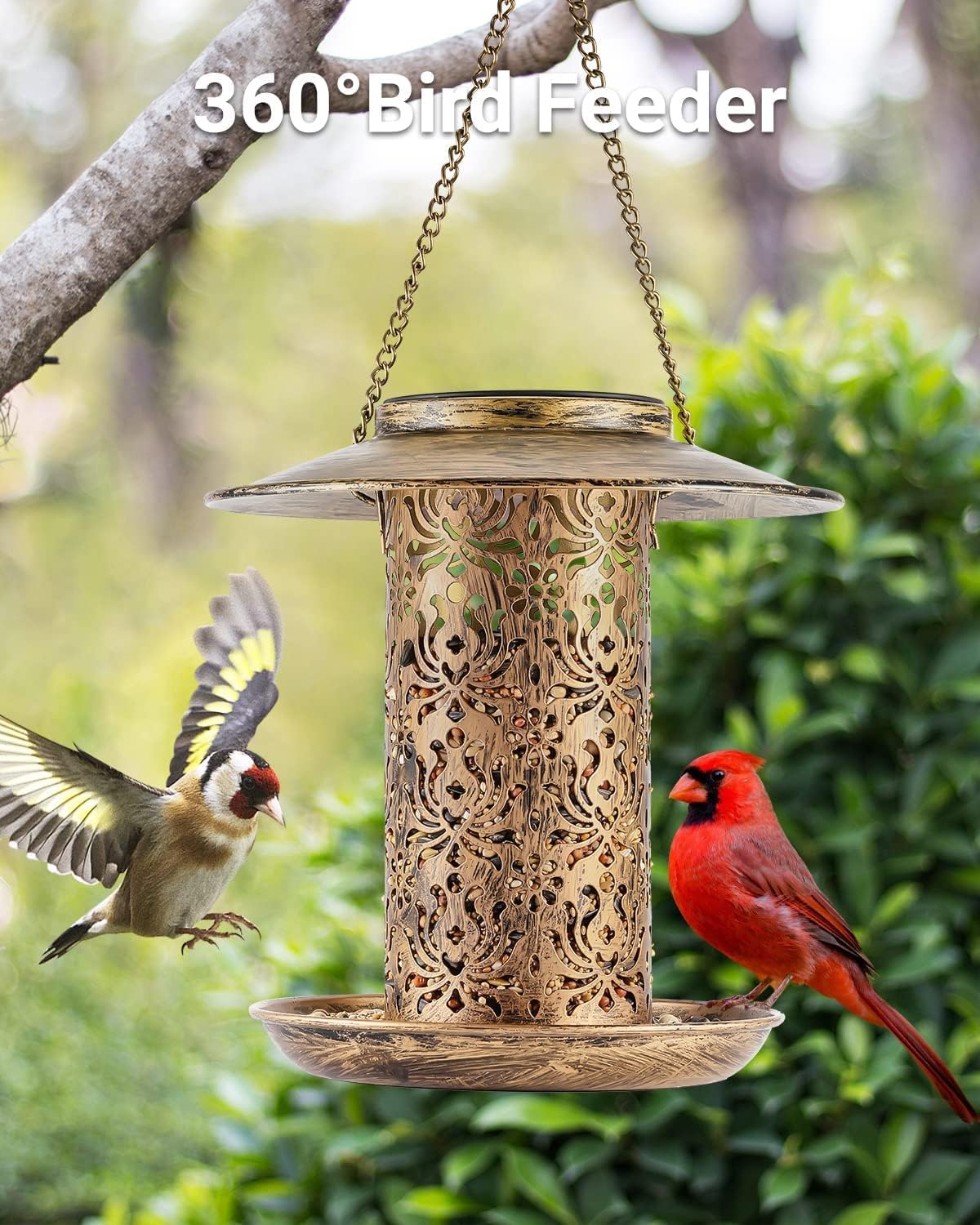 Detalle de HOUSESAPP Solar Bird Feeder 2.5LBs