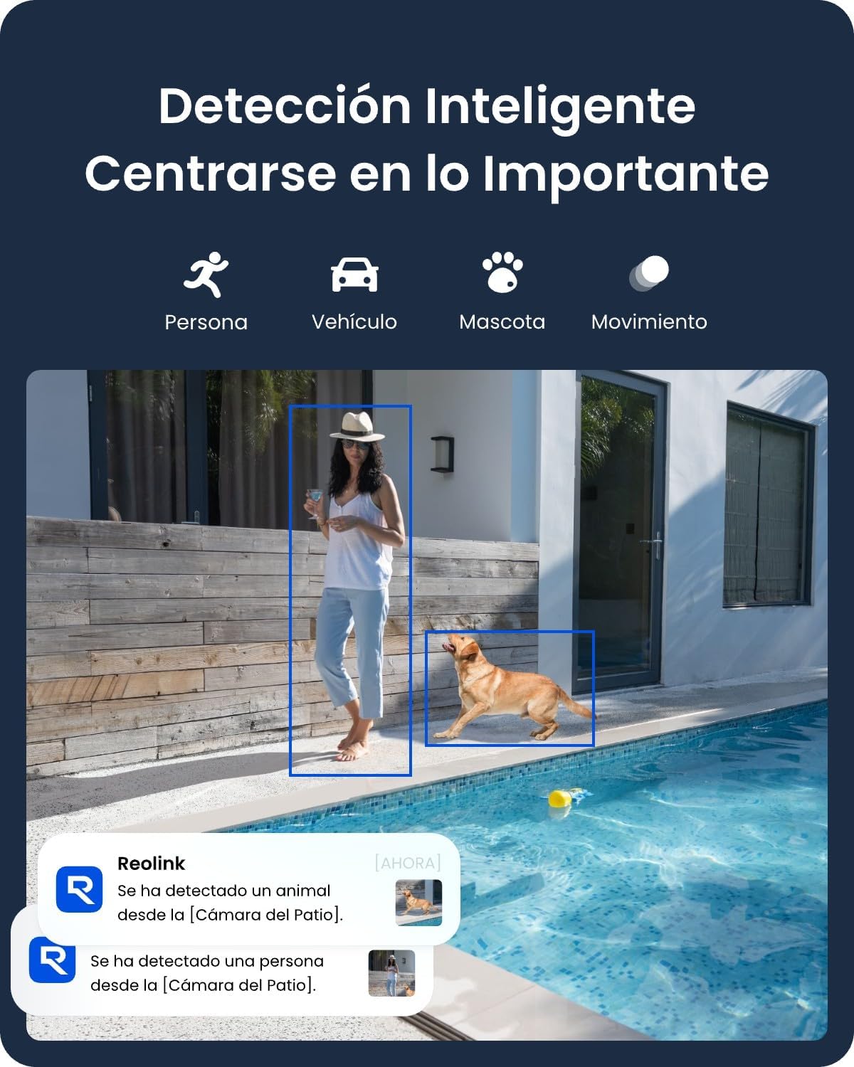 Thumbnail 5 de Reolink Argus PT Ultra 4K 8MP 🌞 Cámara Exterior Solar WiFi