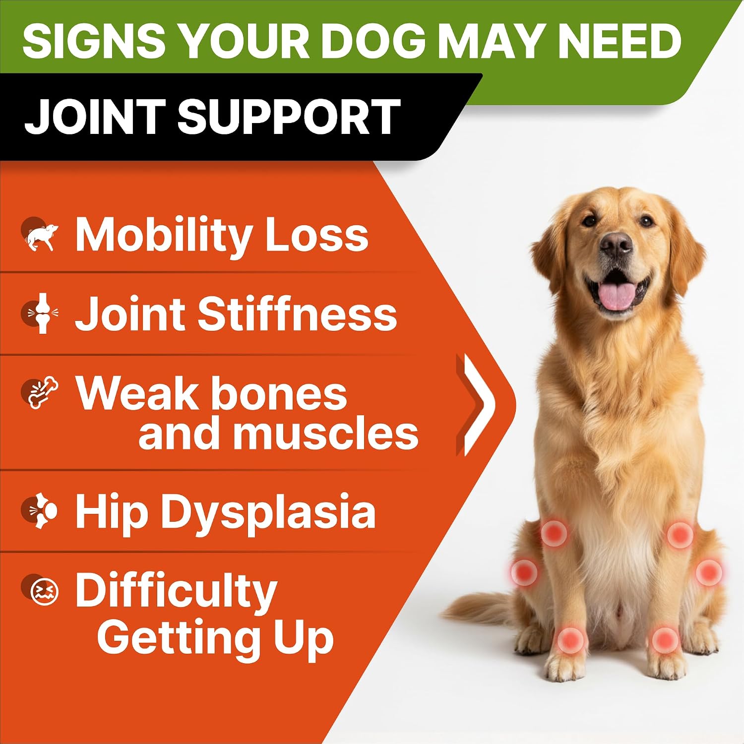 Detalle 2 de STRELLALAB Dog Joint Supplement, 120 Chews