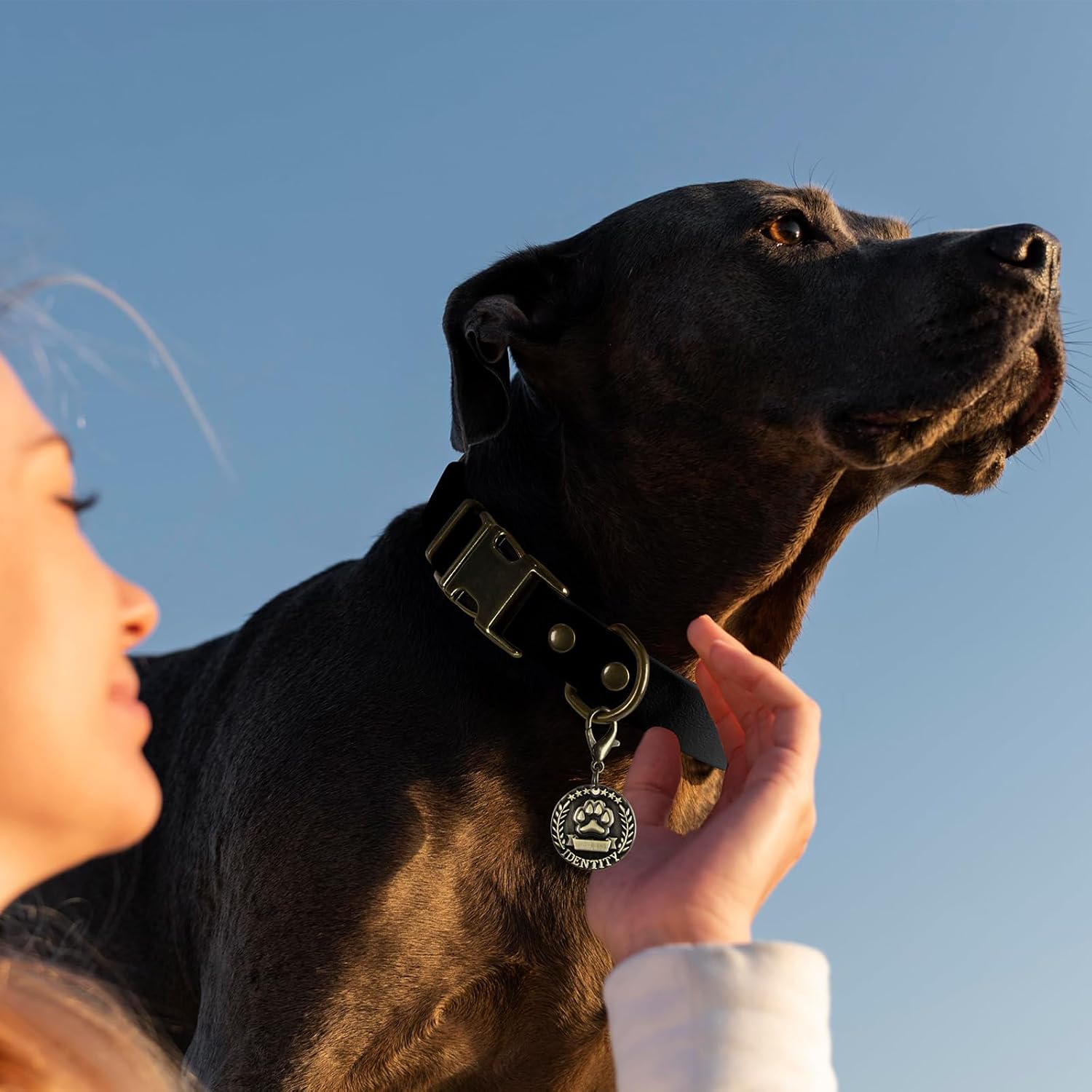 Detalle 2 de Wisedog Rubber Dog Collar 10"-14