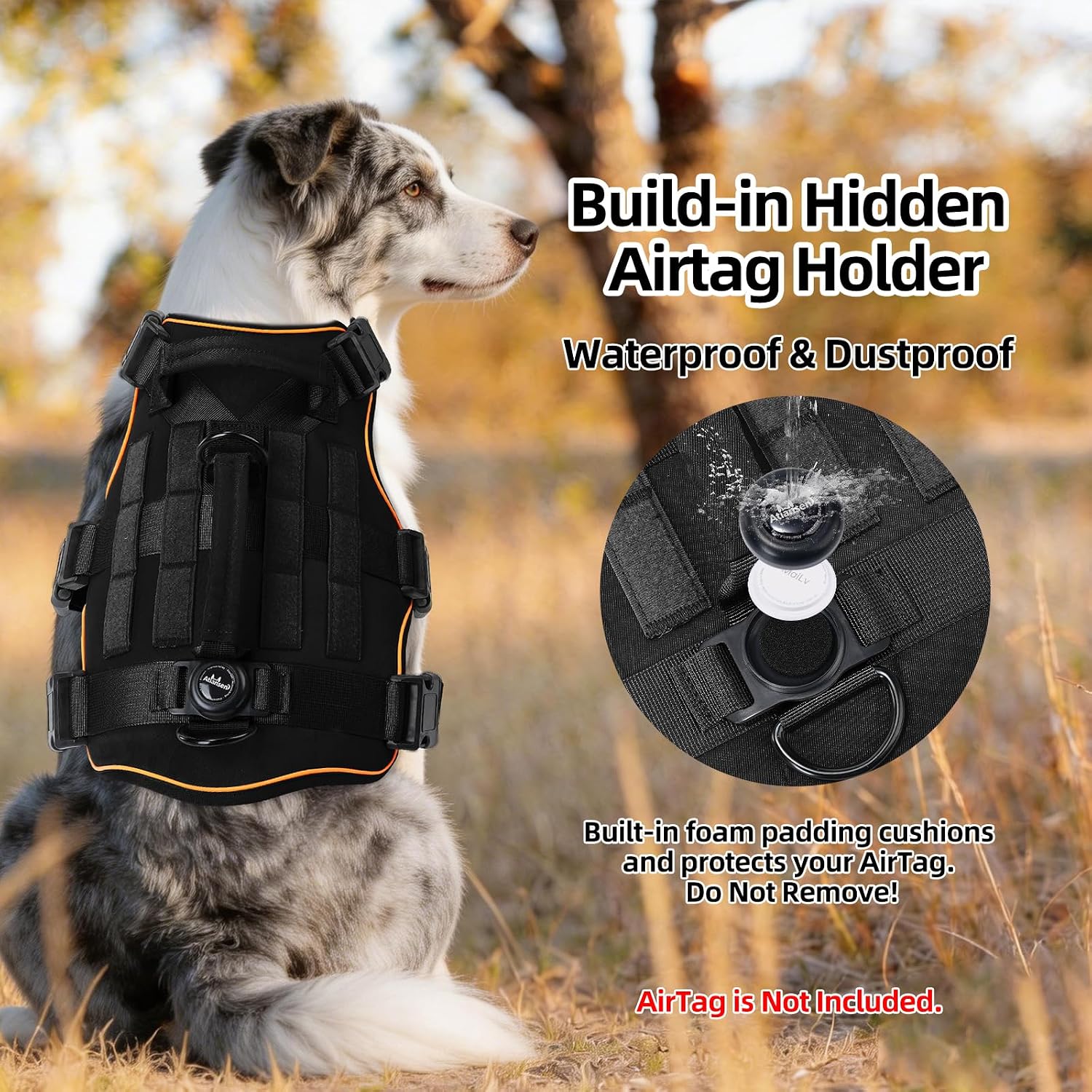 Detalle 2 de Dog Harness, Size M