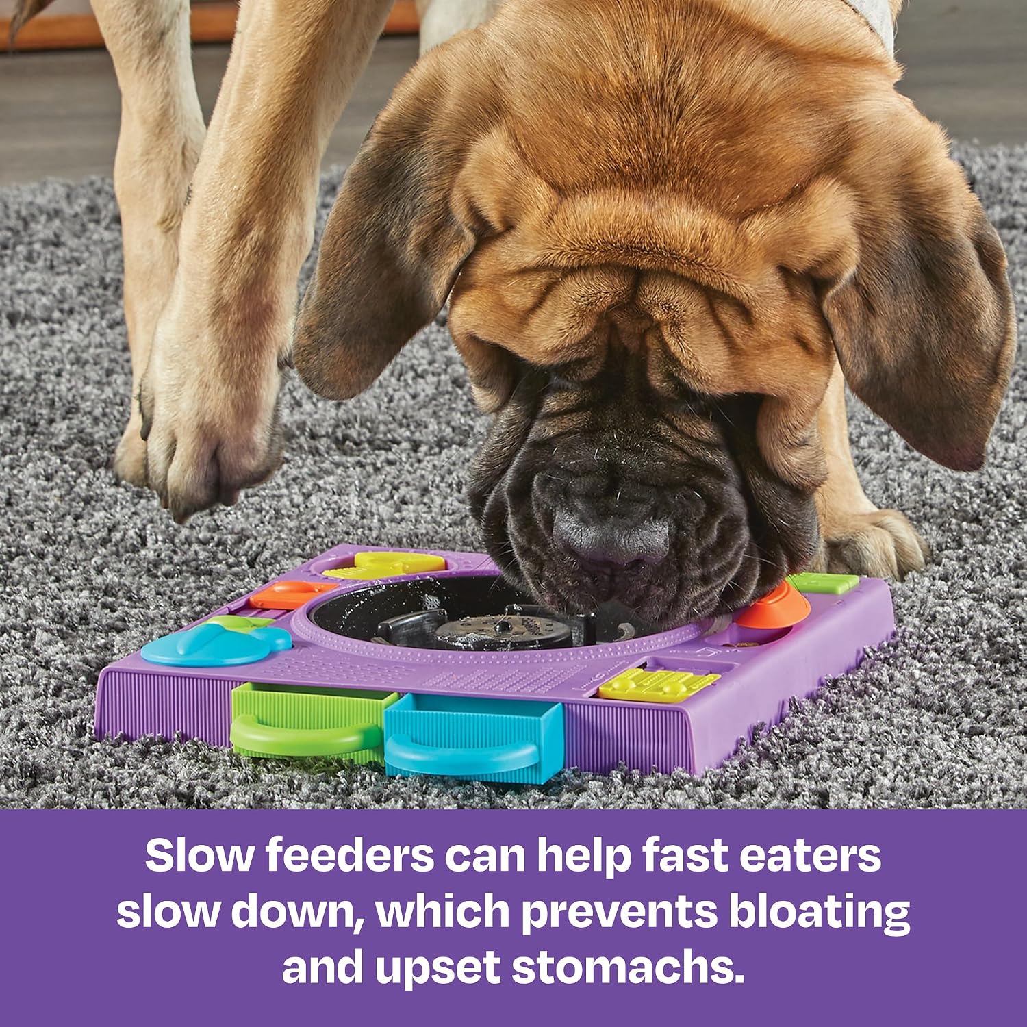 Detalle 2 de Brightkins DJ Doggo Puzzle Feeder: 2-in-1 Slow Feeding Bowl & Interactive Toy