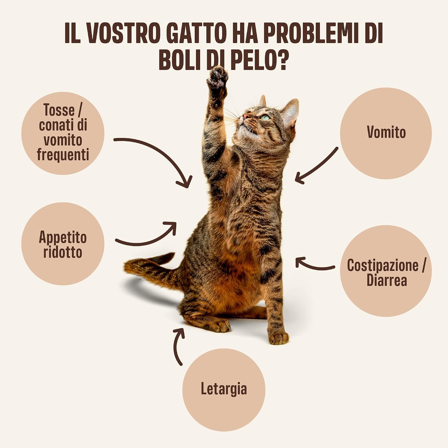 Detalle de ivvi Anti-Hairball Essenza per Gatti con malto, olmo rosso, inulina e psyllium (crema con vero tonno) 30x15g