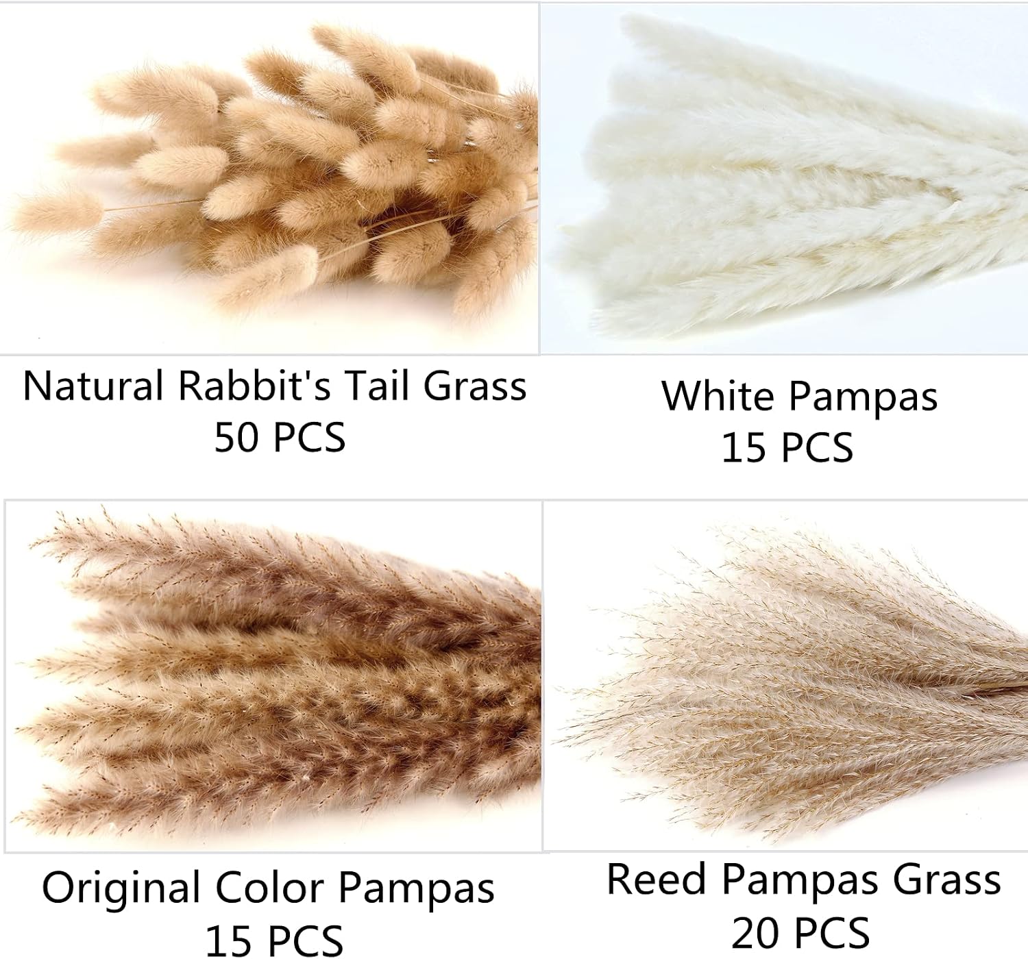 Detalle de ANPROOR SD-1 Dried Pampas Grass Bouquet, 100 Stems, 17-Inch White and Brown