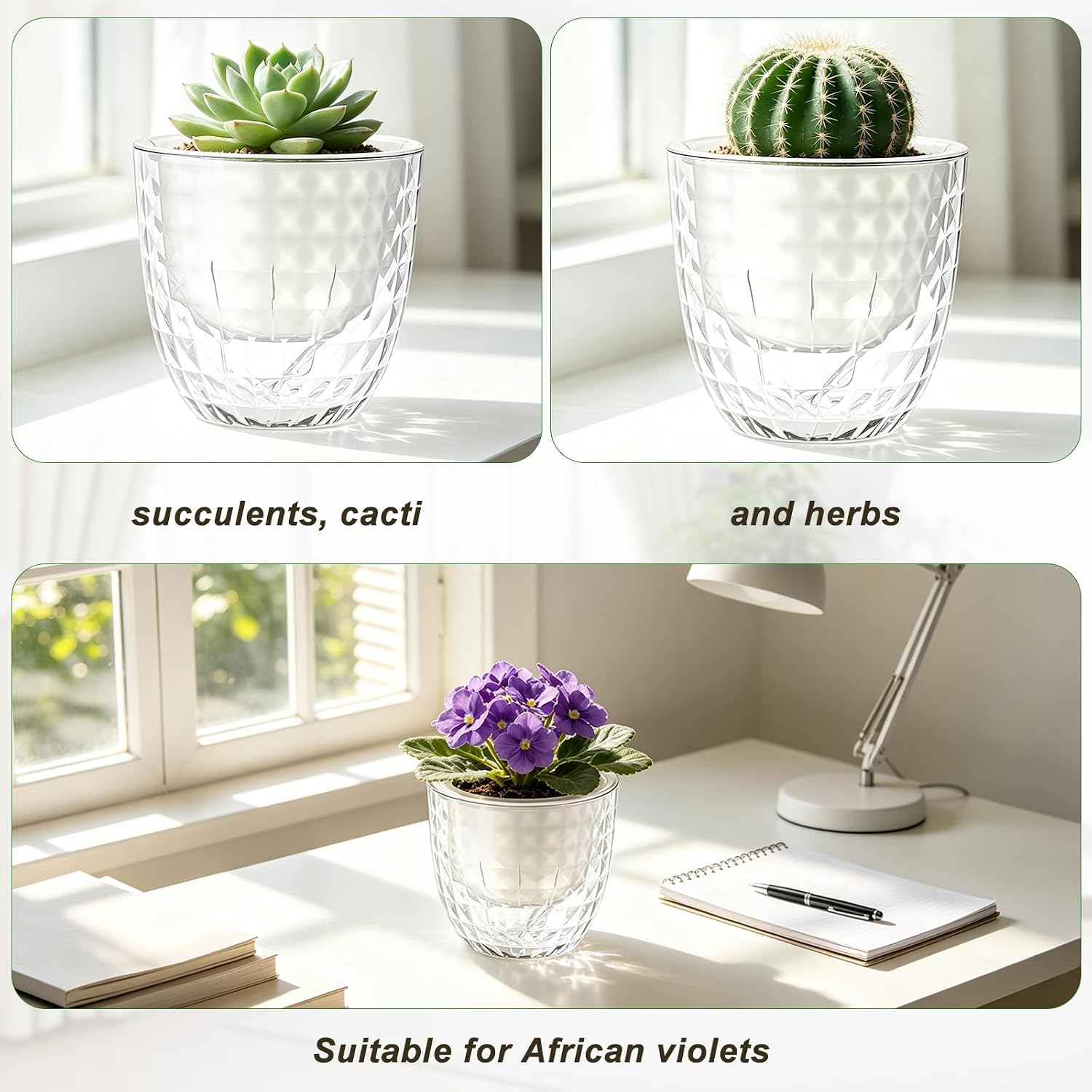 Thumbnail 6 de Yimomoyi Self-Watering Plant Pots, 11 cm