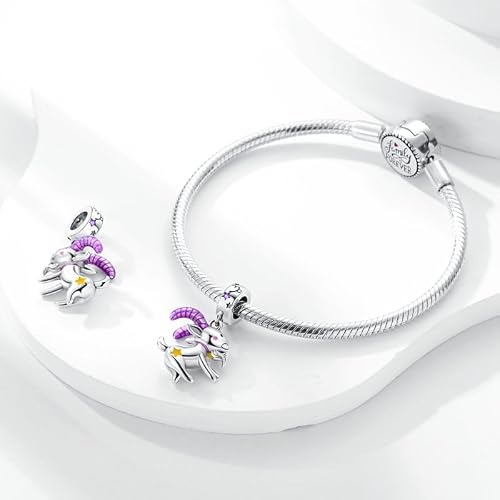 Detalle de Charm-Anhänger Sternzeichen 925 Silber – 12 Motive 💍
