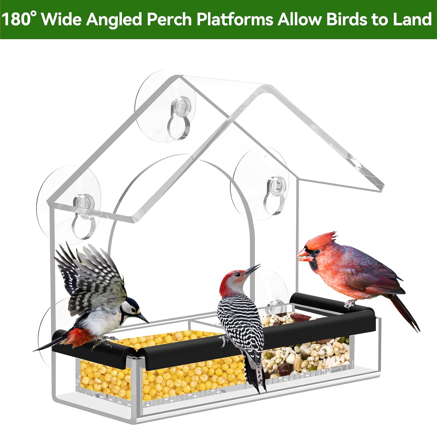 Detalle 1 de Clear Window Bird Feeder 5 Suction Cups