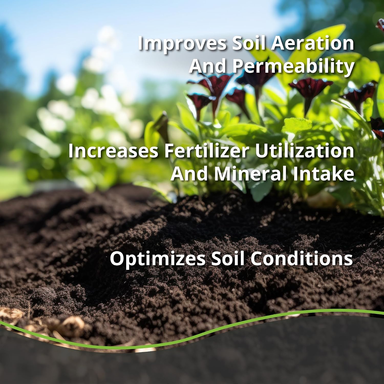 Thumbnail 5 de Plantonix Char Bliss Organic Biochar Soil Amendment, 8 Quarts, OMRI-Listed