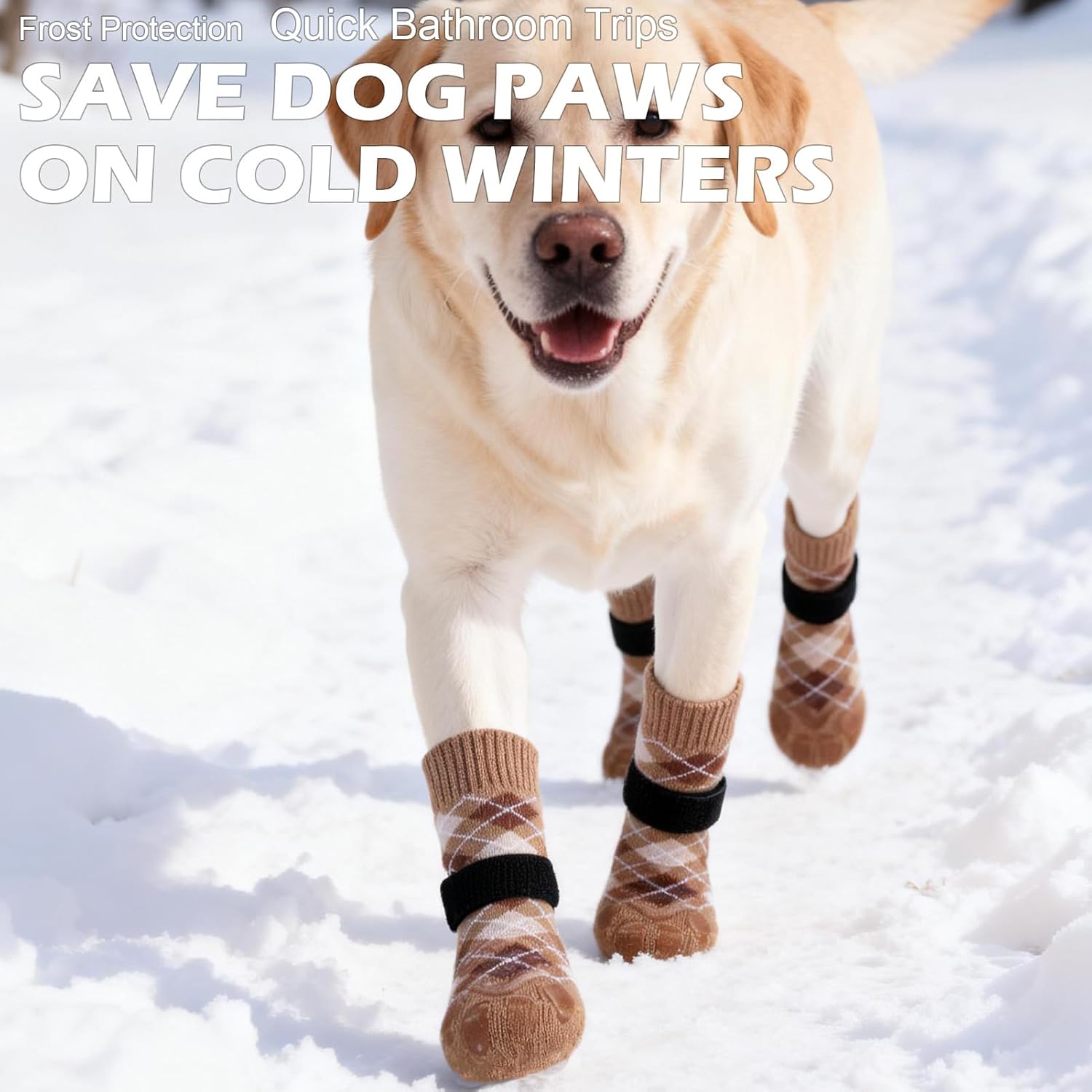 Thumbnail 4 de EXPAWLORER Dog Socks Khaki XS 4 Pack