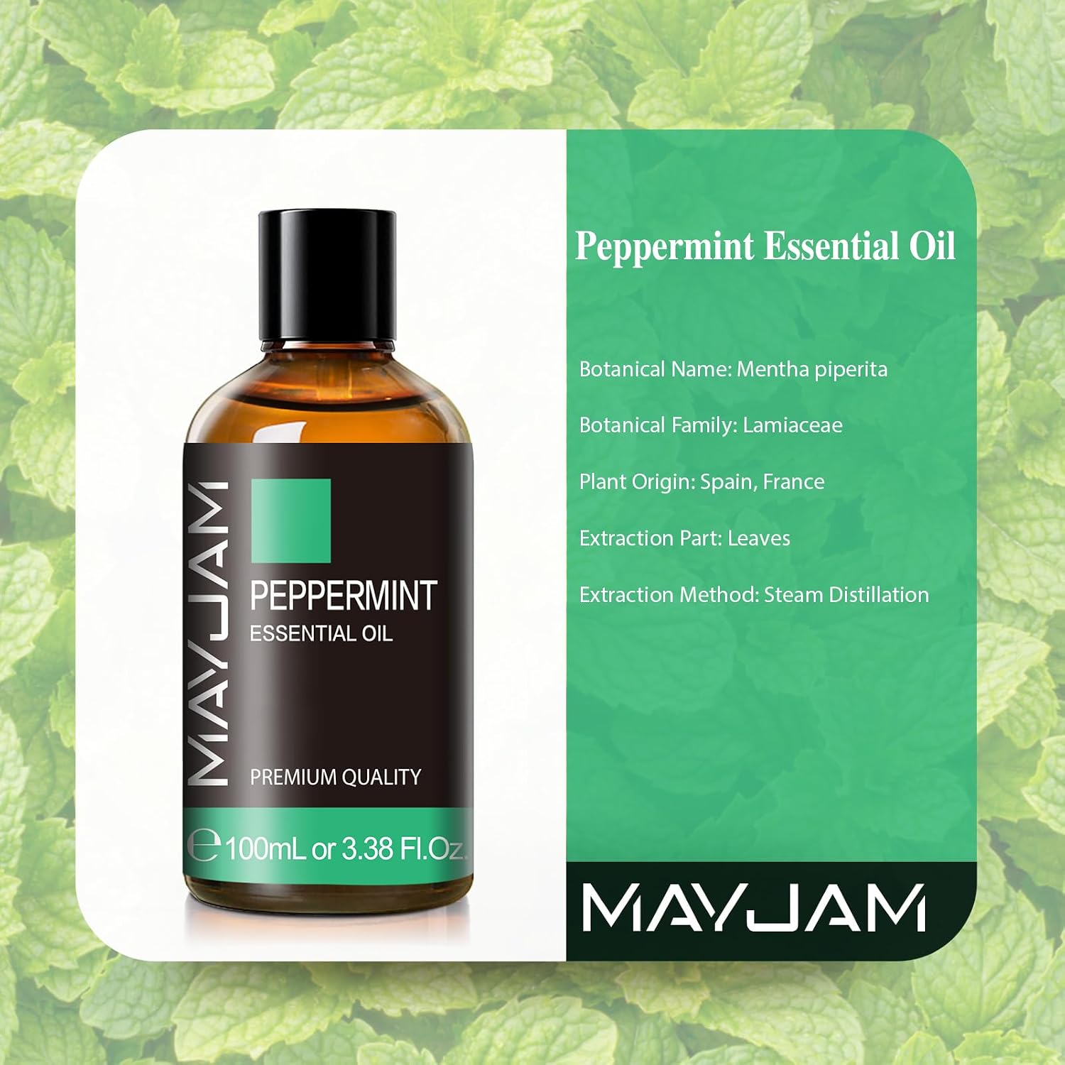 Thumbnail 1 de MAYJAM Peppermint Essential Oil, 100 mL Amber Glass Bottle with Dropper