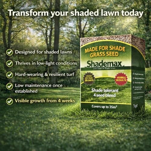 Detalle 2 de Shademax – Grass Seeds for Shady Areas (1kg) by EFA International