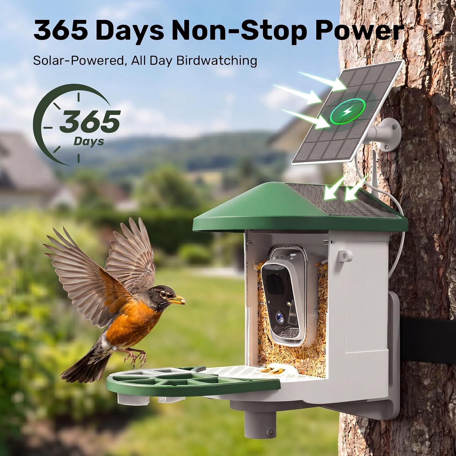 Detalle 1 de HARYMOR Smart Bird Feeder with Camera, 1.5L Capacity