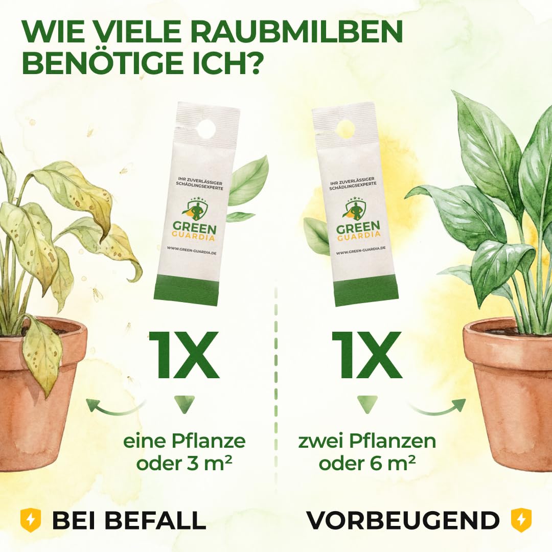 Thumbnail 2 de GREEN GUARDIA Power Raubmilben gegen Spinnmilben – 15 Tüten | Biologische Schädlingsbekämpfung für Zimmerpflanzen, Zierpflanzen und Cannabis