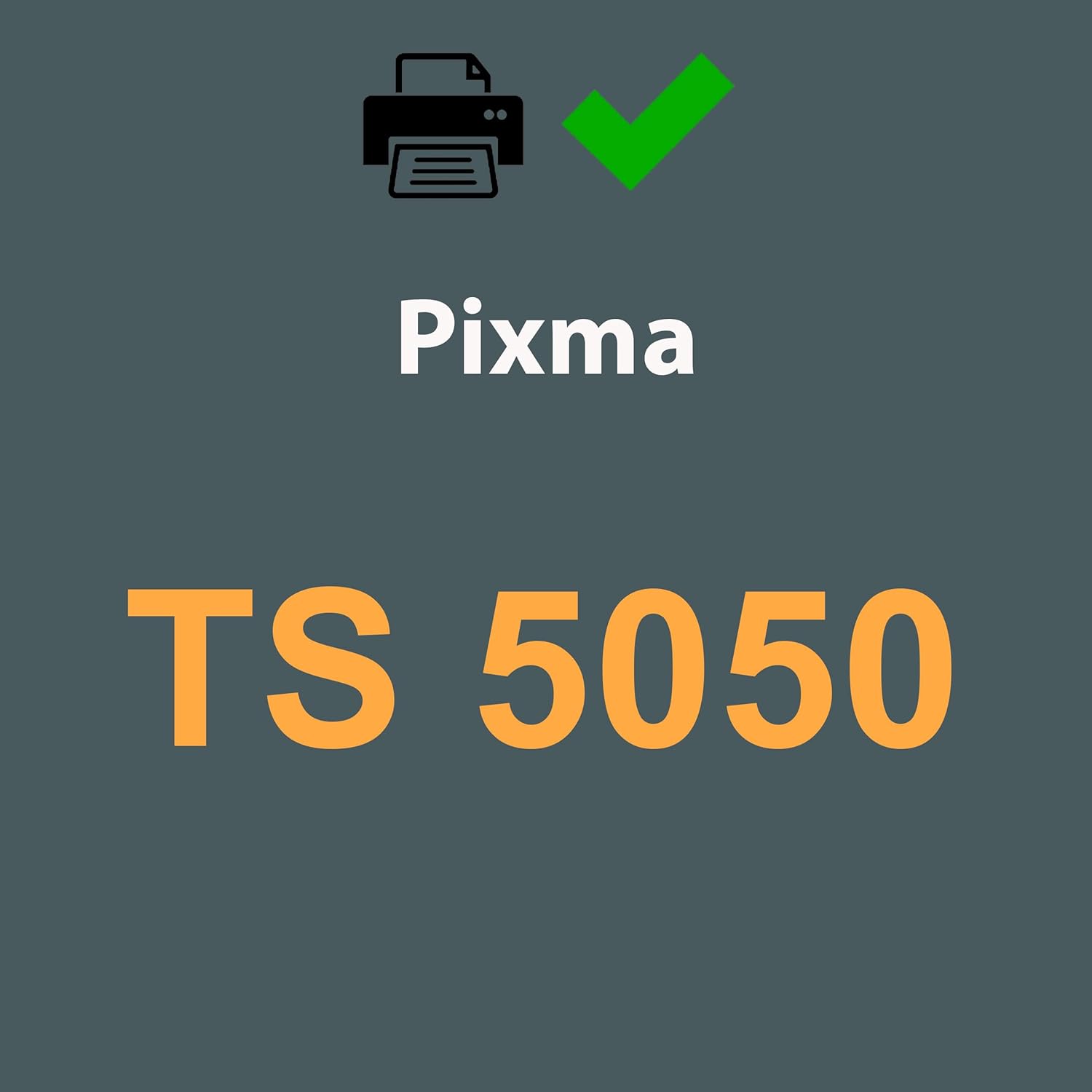 Thumbnail 1 de Amaprint 20 XL (PGI 570 / CLI 571) multipack per Canon Pixma TS5050: 20 cartucce XL compatibili