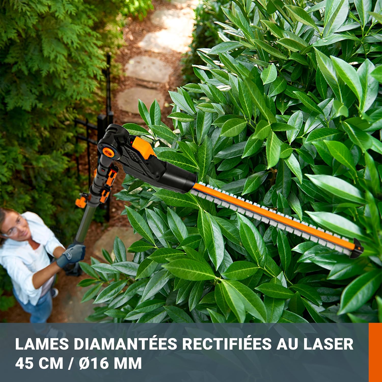 Detalle de WORX WG252E.9 Taille-Haies sur Perche 20V - Lame 45 cm, Manche Télescopique