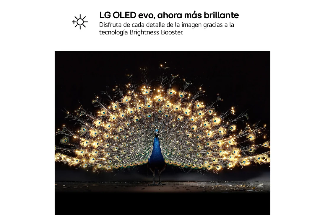 Detalle de LG OLED evo AI C6 48" (OLED48C6ELB) – 4K, 165 Hz, webOS Copilot