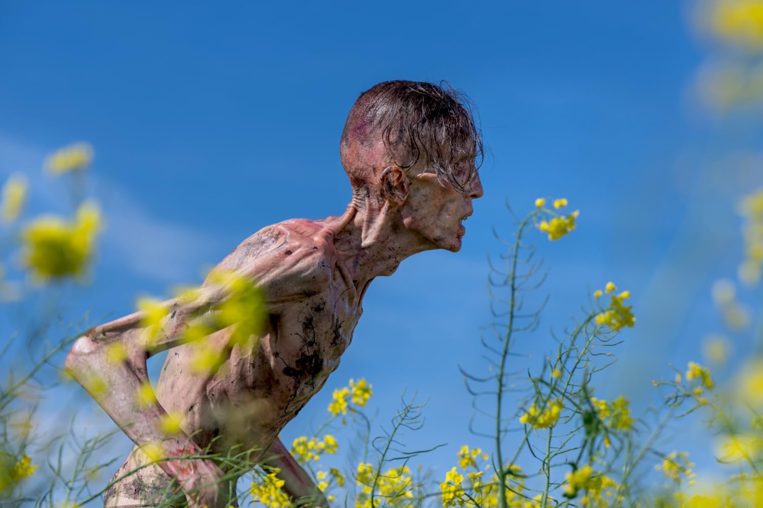 Detalle 1 de 28 Years Later – speelfilm op breedbeeld met Dolby Digital 5.1
