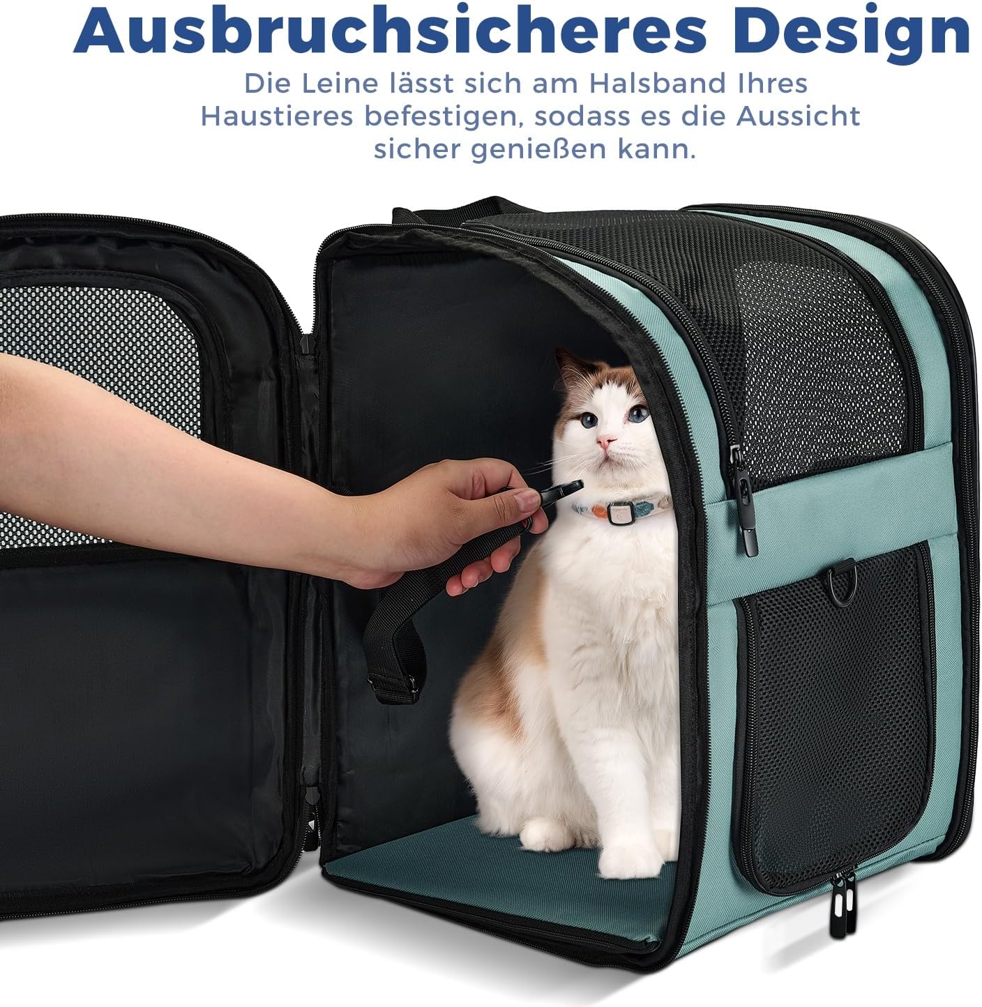 Thumbnail 2 de apollo walker HundeRucksack und KatzenRucksack für Kleine Haustiere (2–15 kg) – Gepolsterter Rücken, atmungsaktives Netz, Blau