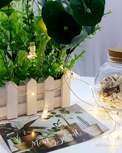 Detalle de Kolpop 50LED Photo Clip String Lights, 5M – Battery-Powered Copper Wire Fairy Lights with 30 Clips for Indoor Decor