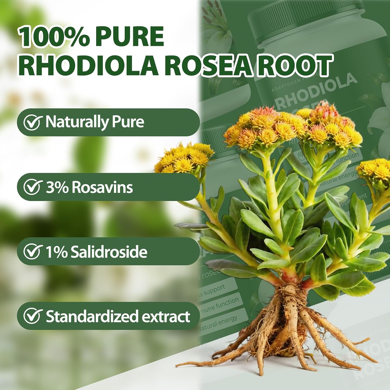 Detalle 1 de Rhodiola Rosea Supplement, Organic Capsules