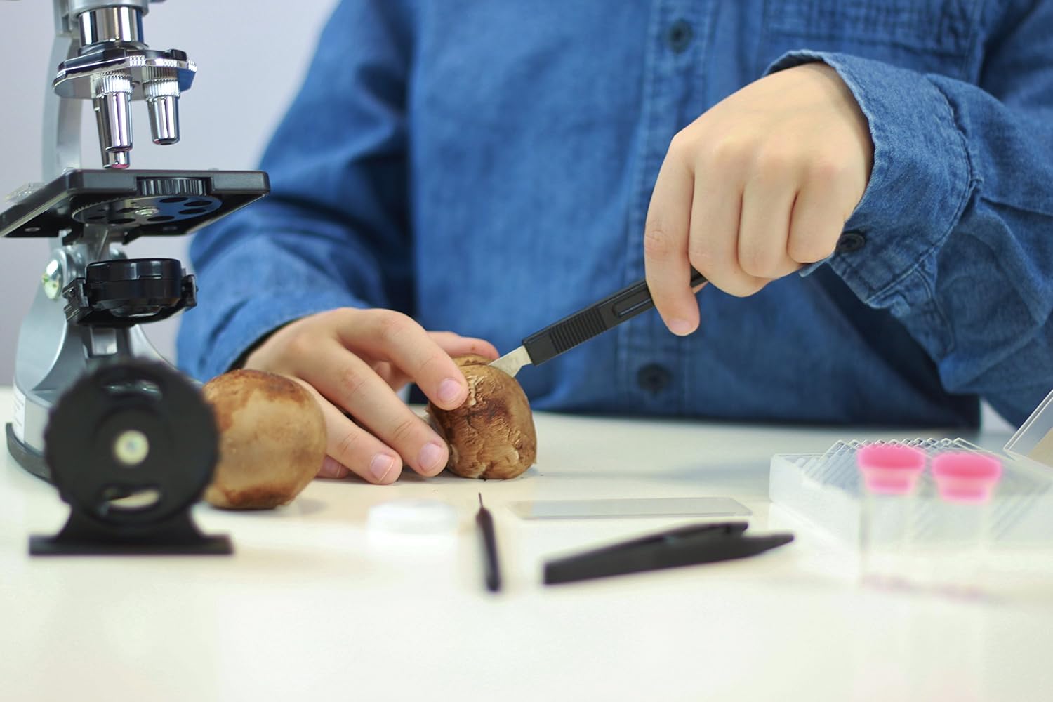 Detalle de Buki MS907B – Microscope 30 expériences