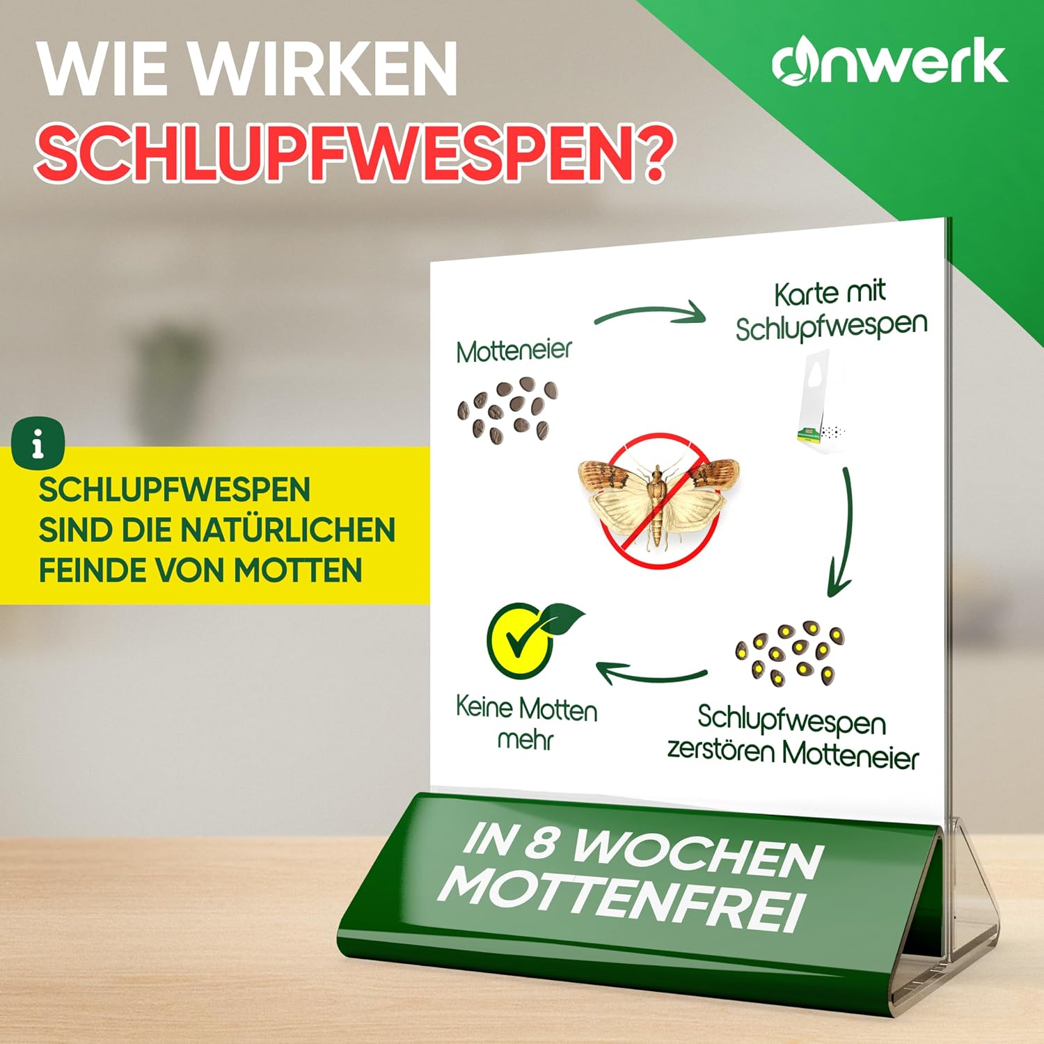 Detalle de anwerk Schlupfwespen gegen Lebensmittelmotten – 4 Karten à 1 Lieferung