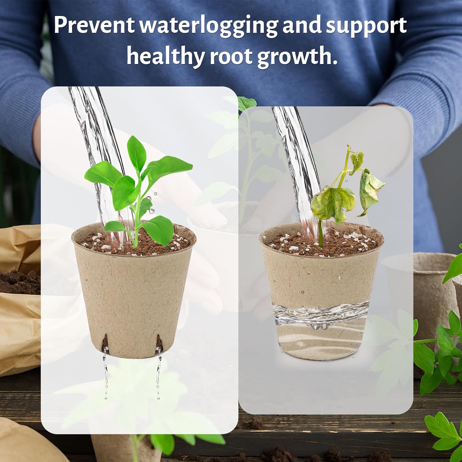 Thumbnail 5 de Bluepro 30-Pack 4-Inch Clear Nursery Pots with Humidity Dome for Seed Starting