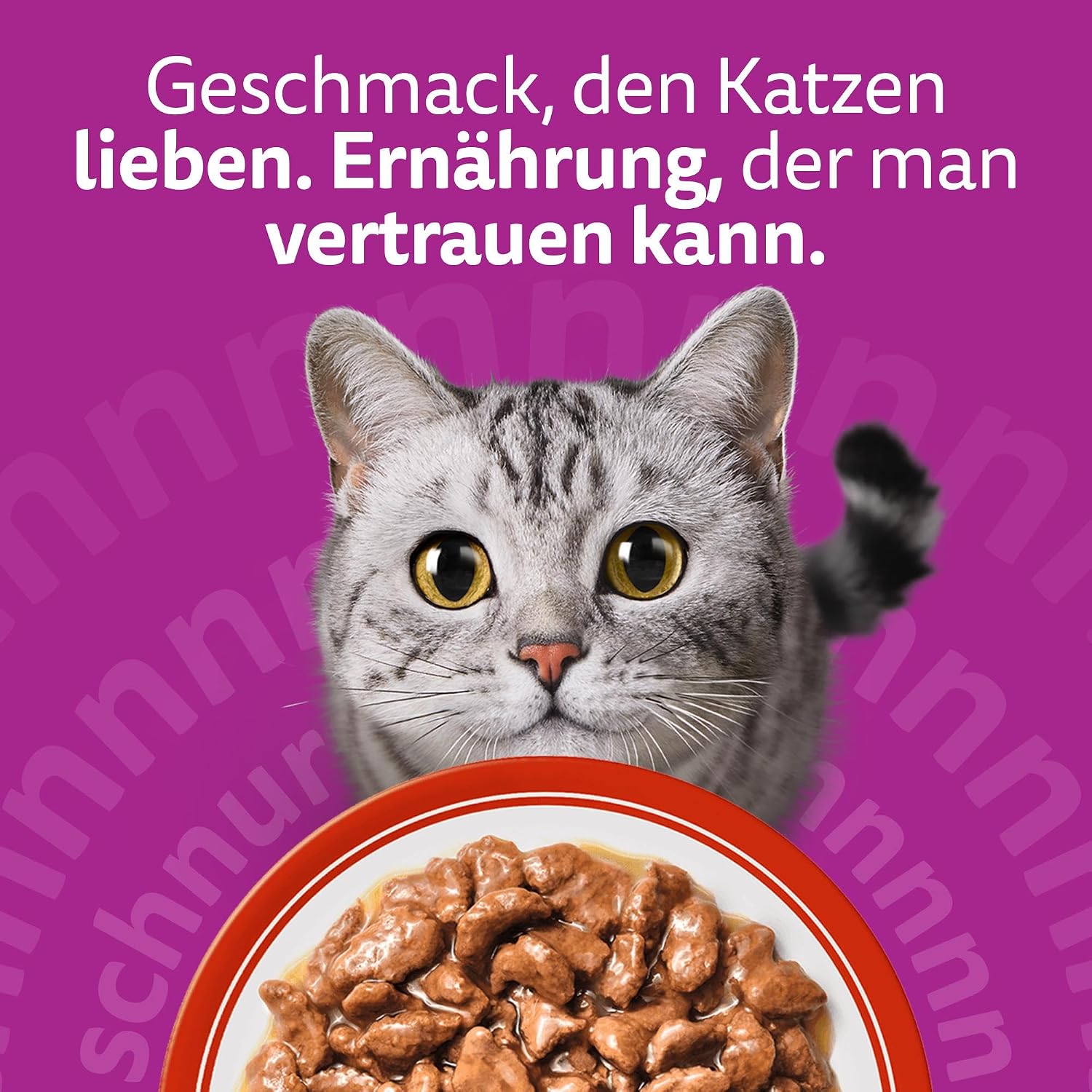 Thumbnail 6 de WHISKAS Nassfutter in Sauce – Klassische Auswahl für Katzen (84 x 85 g)