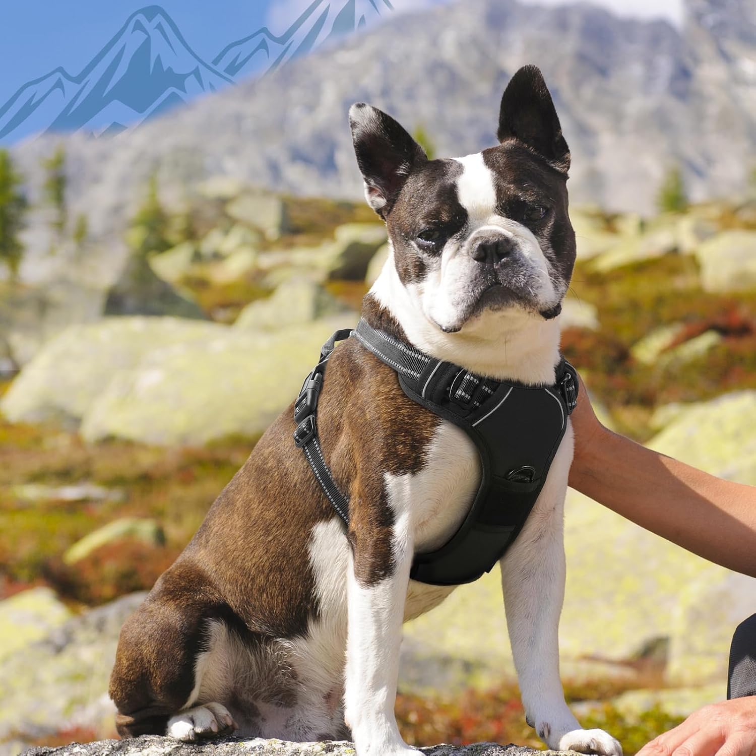 Thumbnail 1 de Eagloo Hundegeschirr Großes Anti-Zug mit Reflexstreifen M 📘