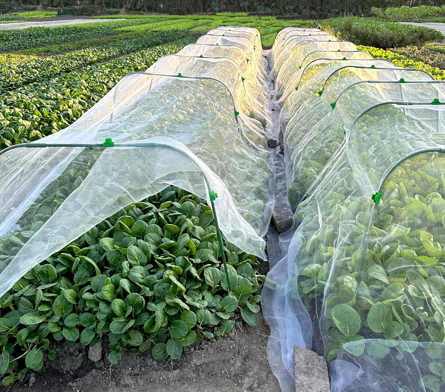 Detalle 2 de Garden Mesh Netting Kit: 3x13M Fine Mesh Net with 8 Garden Hoops and 24 Clips for Pest Protection