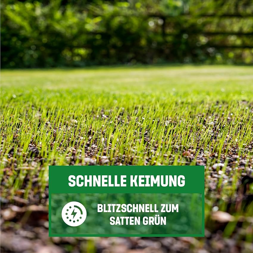Detalle 2 de GardenGloss Semences de gazon germination rapide, 2,5 kg ⚙