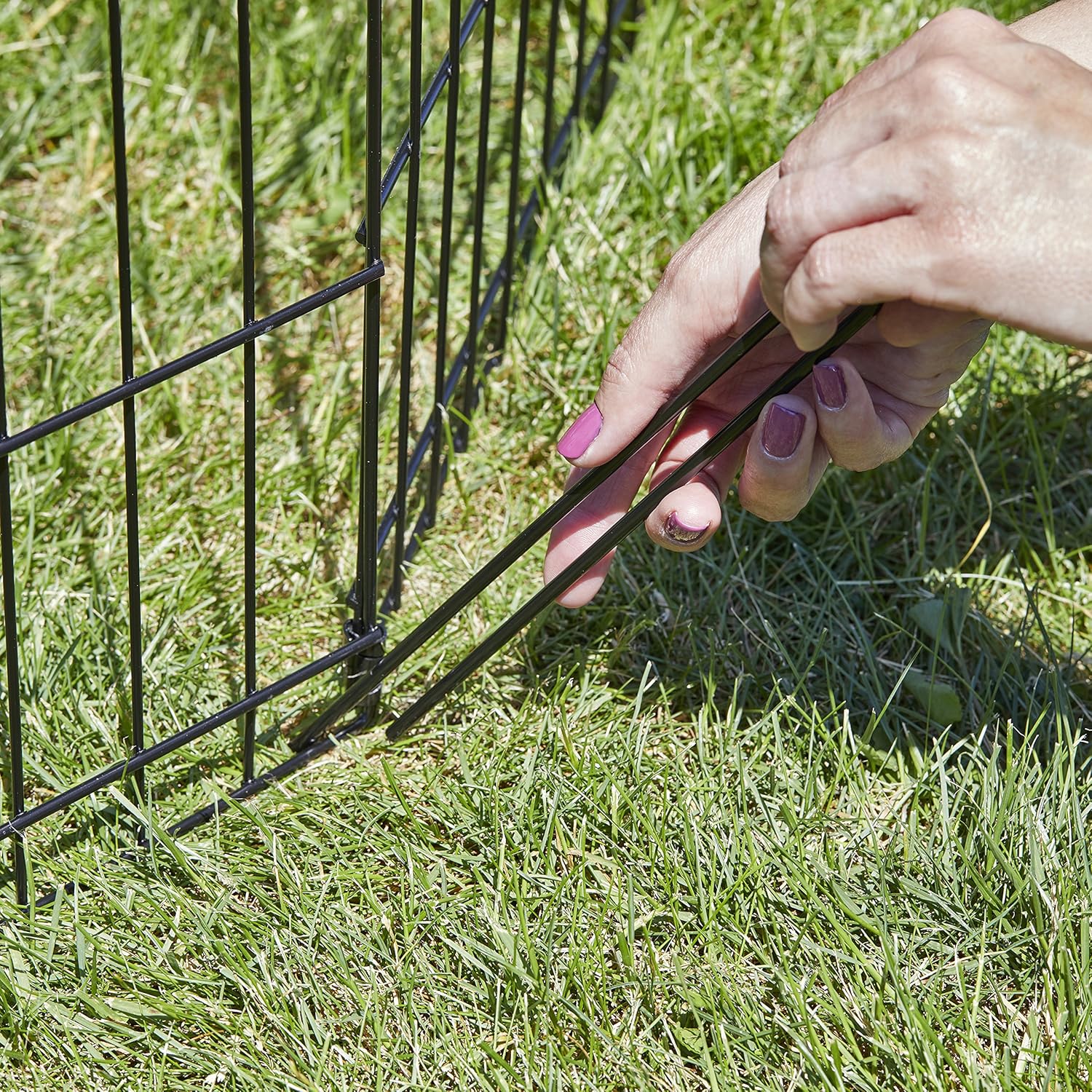 Thumbnail 5 de MidWest Homes for Pets 8-Panel Metal Exercise Pen