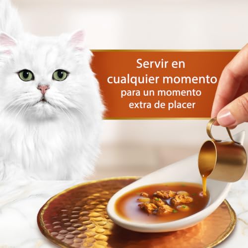 Detalle de Gourmet Soup Royale con Salmón 30 Sobres x 45 g de Purina: complemento húmedo para gatos adultos
