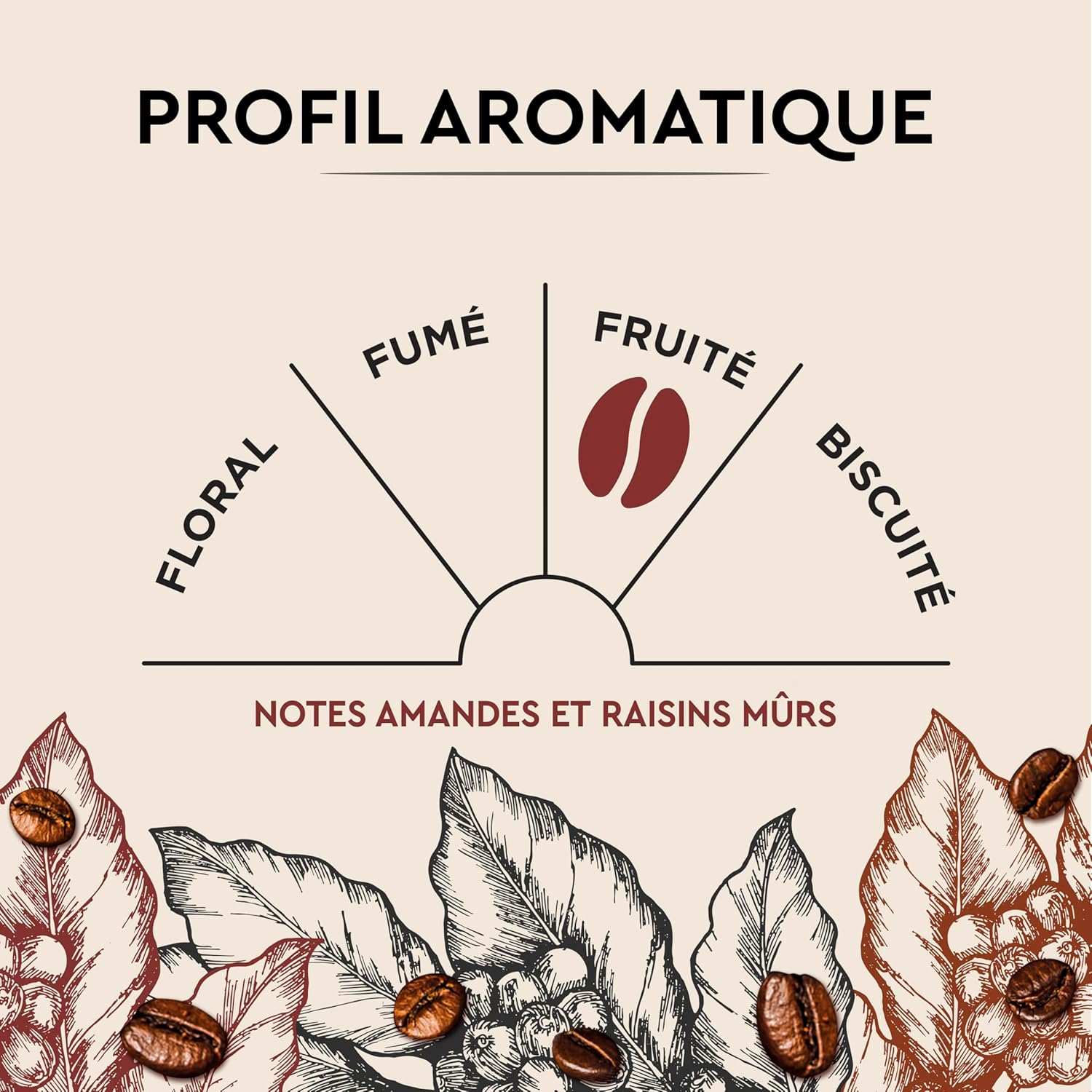 Thumbnail 5 de CARTE NOIRE 100 capsules de café