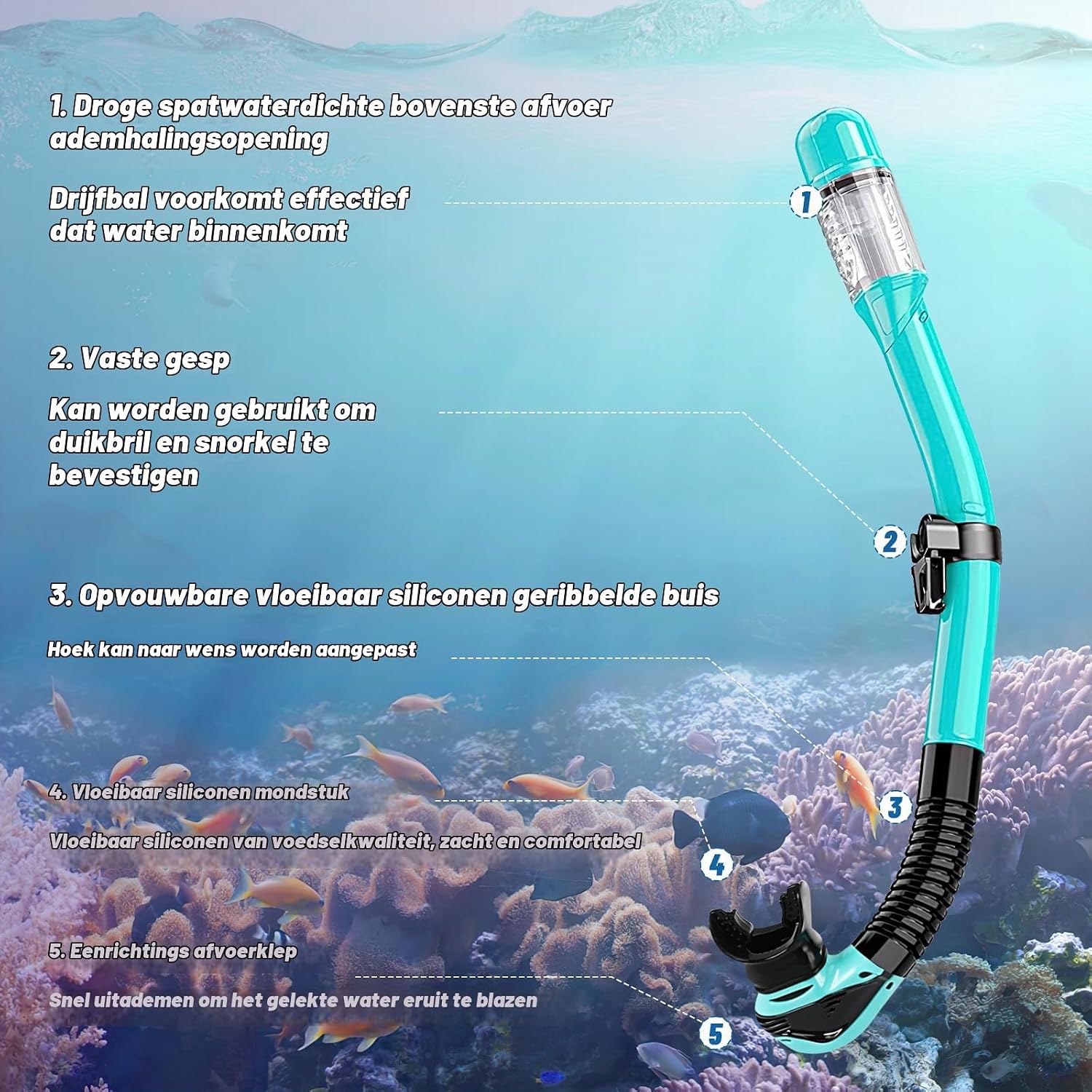 Thumbnail 4 de Collazoey qsjqhl snorkelset voor volwassenen met panoramisch masker