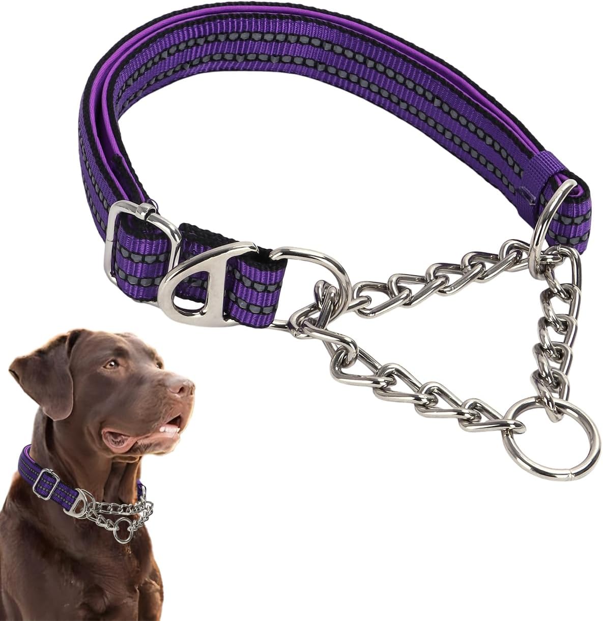 Thumbnail 6 de Martingale Collar for Dogs with Reflective Nylon — Heavy-Duty Adjustable Training Collar