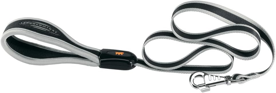 Laisse pour chien Ferplast ERGOCOMFORT en nylon — 120 cm x 2,5 cm, poignée ergonomique et rembourrage doux, couleur argent