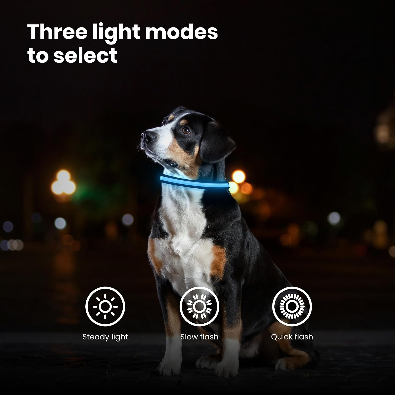Detalle 2 de Fun Pets LED Dog Collar 50–60cm